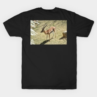 Thompson Gazelle T-Shirt